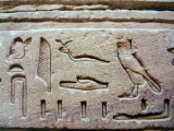 hieroglif 5