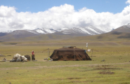 nomad 1