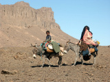 nomad 2