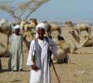 nomad 3