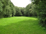 krčevina 6